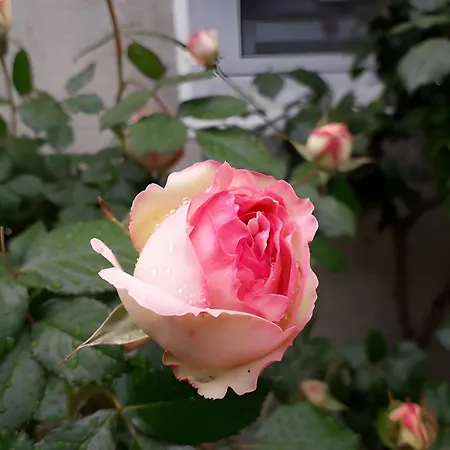 לינה וארוחת בוקר Les Du Circuit Laigne-en-Belin