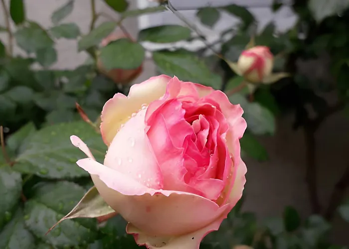 Bed & Breakfast Les Du Circuit Laigne-en-Belin