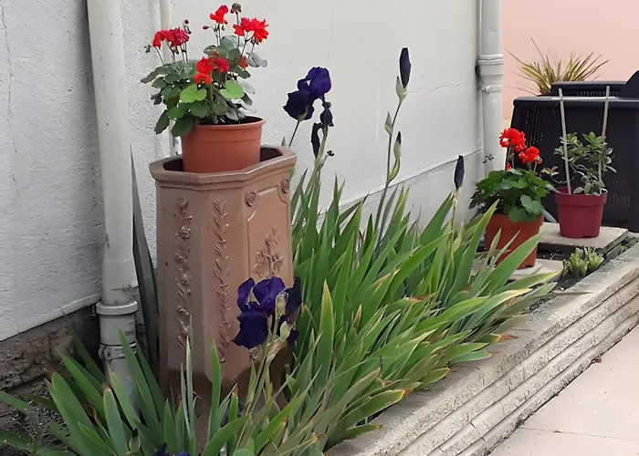 Les Du Circuit Laigne-en-Belin