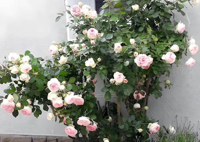 Les Du Circuit 住宿加早餐酒店 Laigne-en-Belin